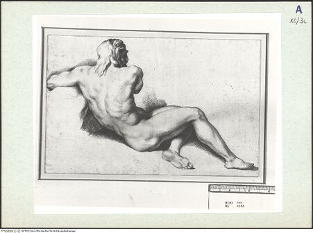 Vorderseite von bh333222_recto