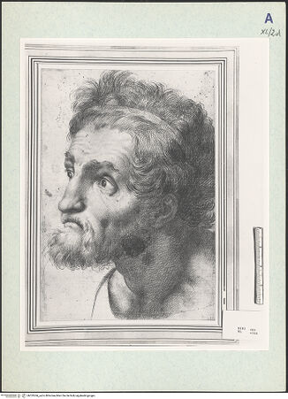 Vorderseite von bh333244_recto