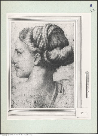 Vorderseite von bh333245_recto