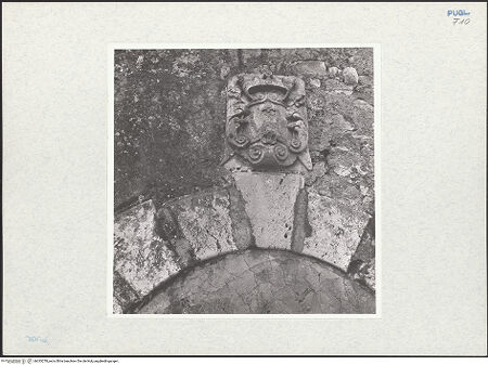 Vorderseite von bh333278_recto