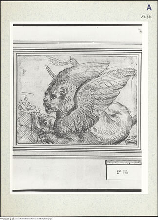 Vorderseite von bh333329_recto