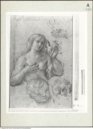 Vorderseite von bh333337_recto