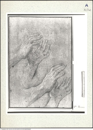 Vorderseite von bh333342_recto