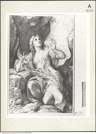 Vorderseite von bh333350_recto