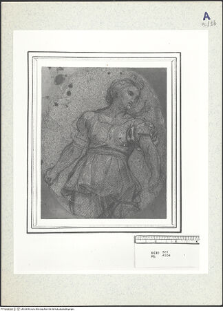 Vorderseite von bh333356_recto