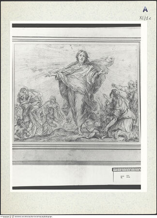 Vorderseite von bh333363_recto