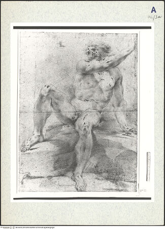 Vorderseite von bh333369_recto