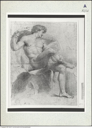 Vorderseite von bh333371_recto