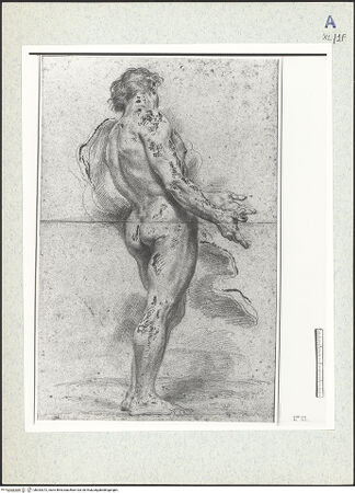 Vorderseite von bh333372_recto