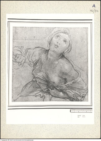 Vorderseite von bh333374_recto