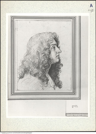 Vorderseite von bh333377_recto