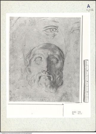 Vorderseite von bh333380_recto