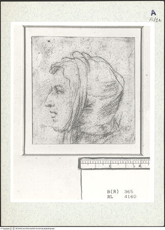 Vorderseite von bh333383_recto