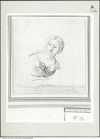 Vorderseite von bh333384_recto