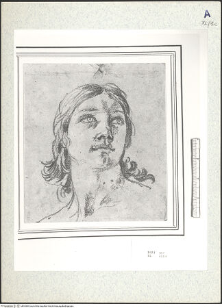 Vorderseite von bh333385_recto