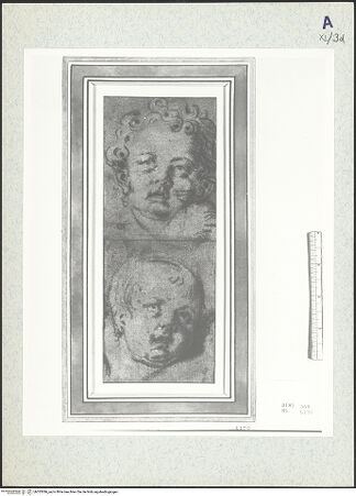 Vorderseite von bh333386_recto