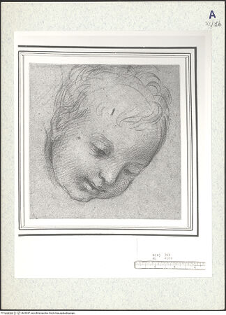 Vorderseite von bh333387_recto