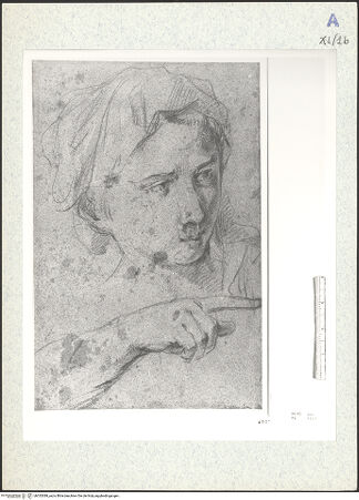 Vorderseite von bh333389_recto