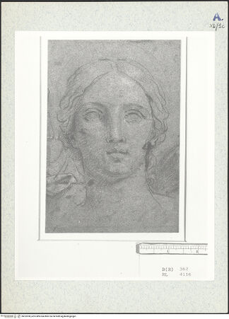 Vorderseite von bh333390_recto