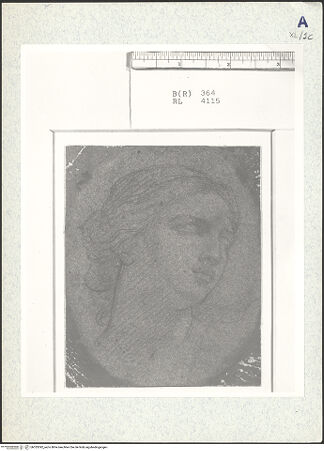 Vorderseite von bh333392_recto