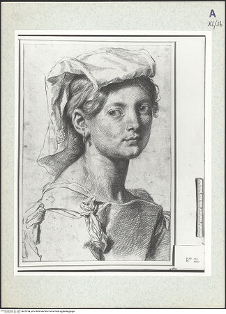 Vorderseite von bh333394_recto