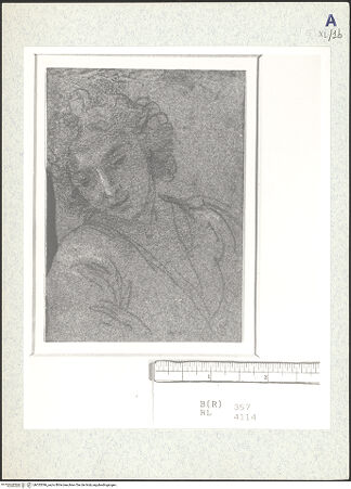 Vorderseite von bh333396_recto