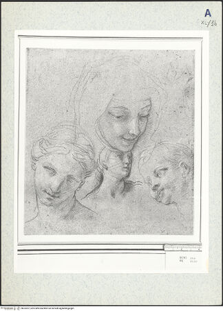 Vorderseite von bh333397_recto