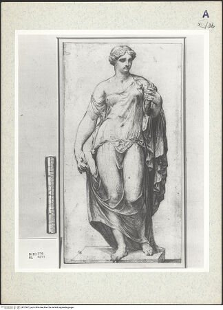 Vorderseite von bh333401_recto