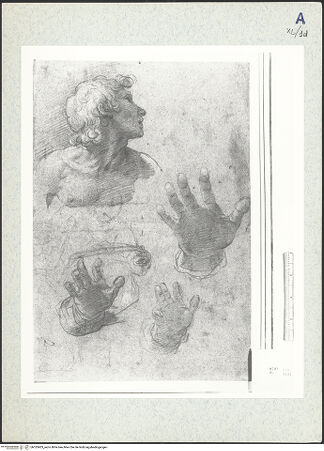 Vorderseite von bh333403_recto