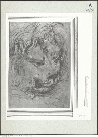 Vorderseite von bh333405_recto