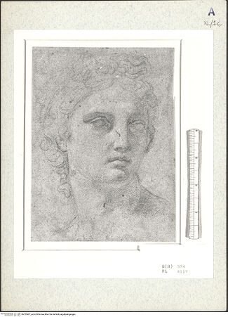 Vorderseite von bh333407_recto