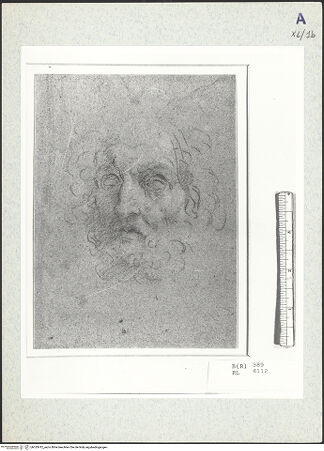 Vorderseite von bh333412_recto