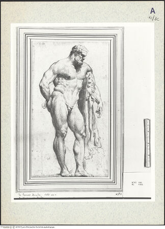 Vorderseite von bh333413_recto