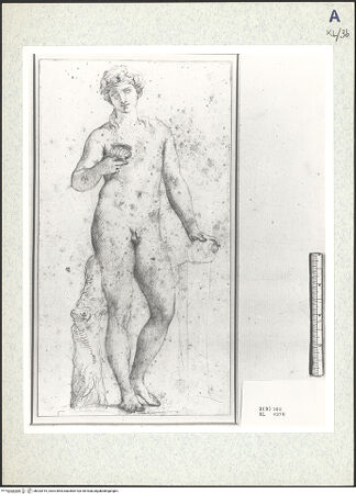 Vorderseite von bh333415_recto