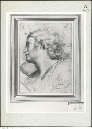 Vorderseite von bh333419_recto