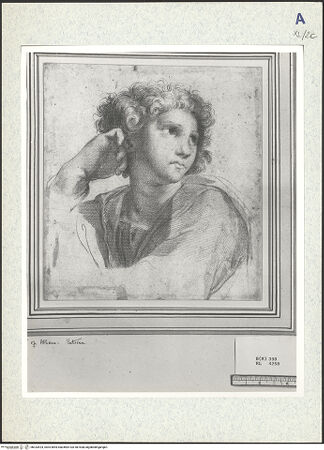 Vorderseite von bh333424_recto