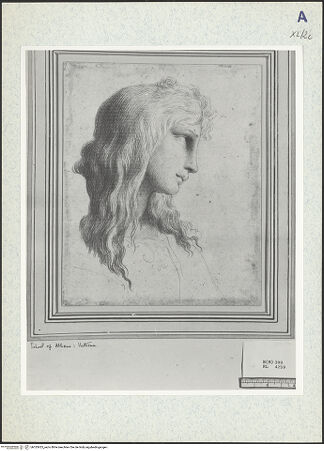 Vorderseite von bh333425_recto