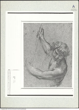 Vorderseite von bh333434_recto