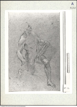 Vorderseite von bh333435_recto