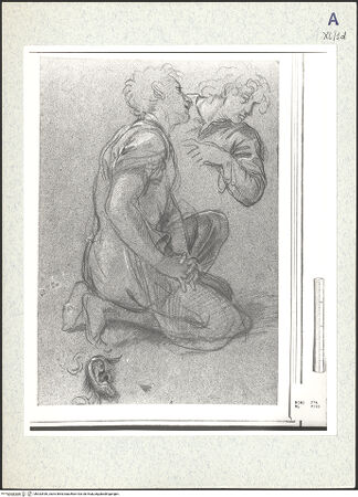 Vorderseite von bh333436_recto