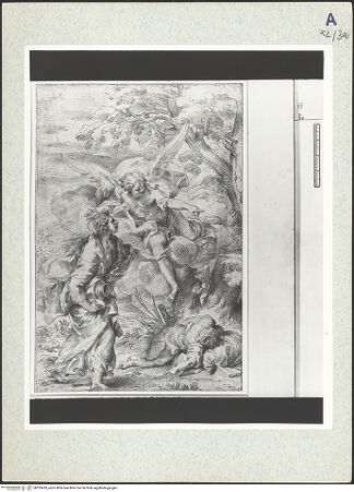 Vorderseite von bh333439_recto