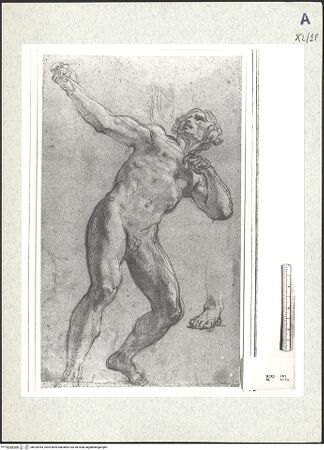 Vorderseite von bh333444_recto