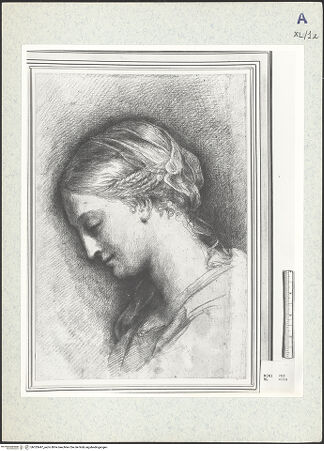 Vorderseite von bh333447_recto