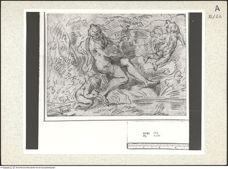 Vorderseite von bh333448_recto