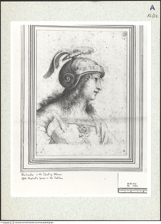 Vorderseite von bh333460_recto