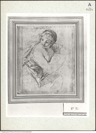 Vorderseite von bh333463_recto