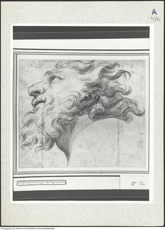 Vorderseite von bh333465_recto