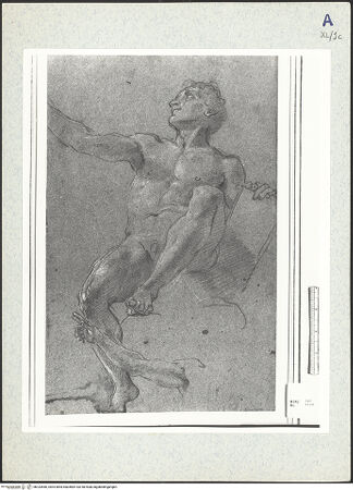 Vorderseite von bh333466_recto