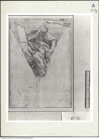 Vorderseite von bh333471_recto