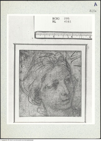 Vorderseite von bh333474_recto